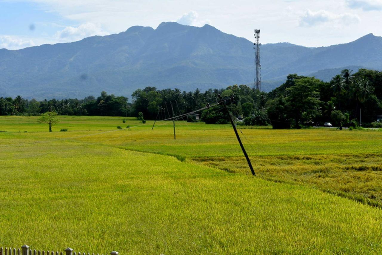 Green Heritage Holiday Resort Mahiyanganaya Luaran gambar