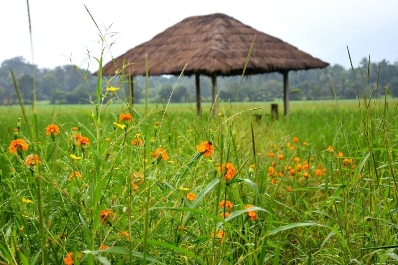 Green Heritage Holiday Resort Mahiyanganaya Luaran gambar