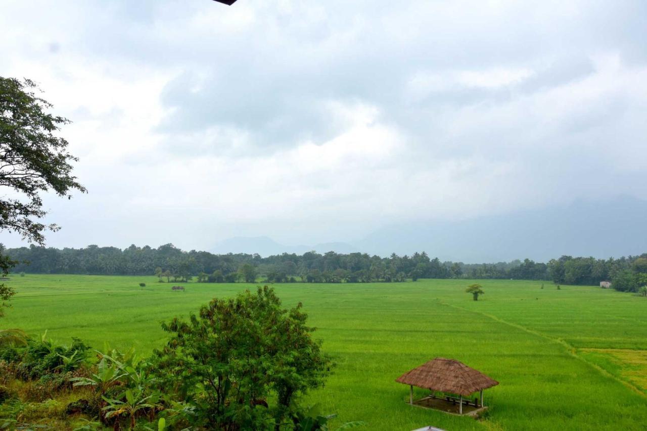 Green Heritage Holiday Resort Mahiyanganaya Luaran gambar